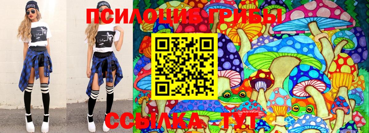 Новочебоксарск  Псилоцибиновые грибы прущие грибы  Псилоцибиновые грибы MAGIC MUSHROOMS  Вход с VPN 