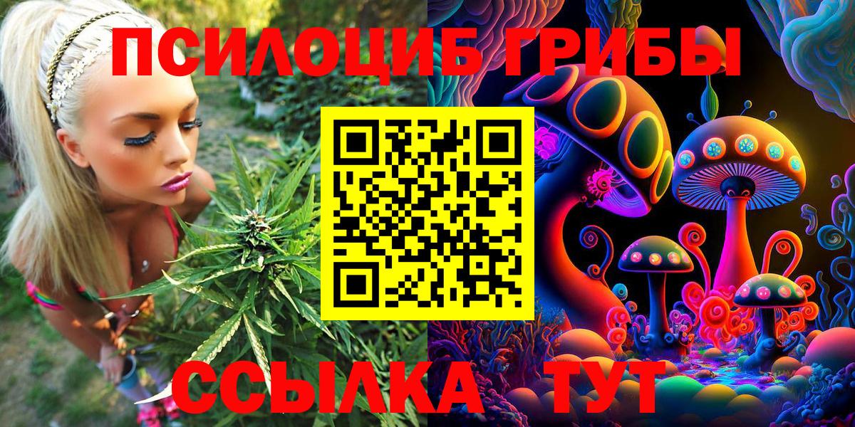 Псилоцибиновые грибы прущие грибы Новочебоксарск
